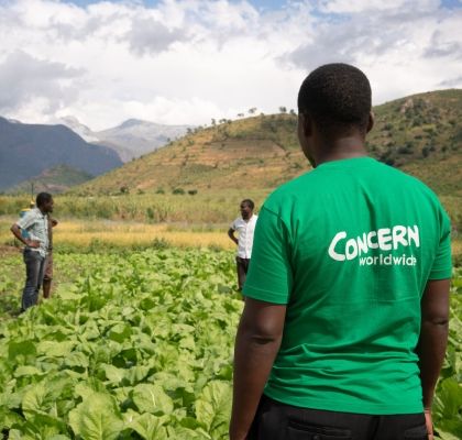 Concern's Timothy Kampira stands with back to camera wearing Concern t-shirt as he advises two farmers in field
