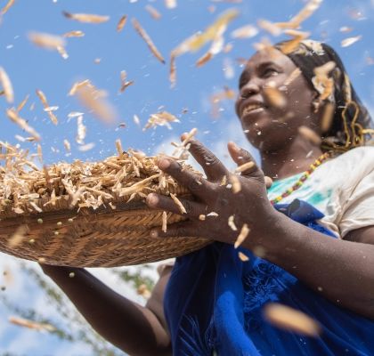 Mwanajuma Ghamaharo winnowing mung beans in Kenya