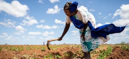 A woman works on her plot in Kenya