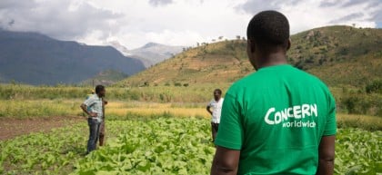 Concern's Timothy Kampira stands with back to camera wearing Concern t-shirt as he advises two farmers in field