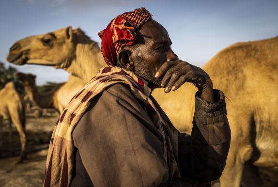 Kenyan pastoralist with his camels during the Horn of Africa drought
