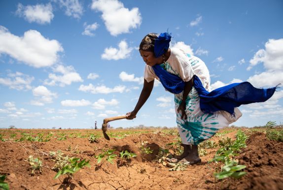 A woman works on her plot in Kenya