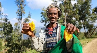 Assen Shek Oumed from Ethiopia has benefitted from training in livelihood activities such as bee-keeping. Photo: Jennifer Nolan / Concern Worldwide.