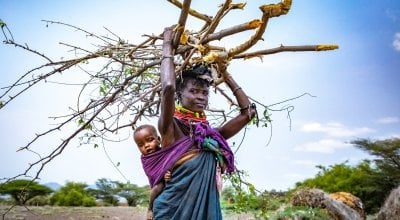 Atiir collects firewood every day to make money to feed her family. Recurrent drought in Turkana, Kenya has made it her only means of survival. Photo: Gavin Douglas / Concern Worldwide.