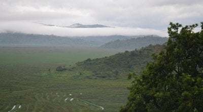 A photo of the hilly Rwanda landscape