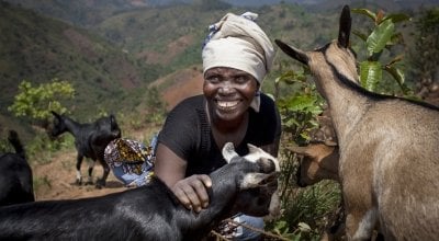 Meresiyana Cimpaye (40) with the goats she bought from the profits of her Graduation Programme cash transfer, at her home in Bukinanyana, Cibitoke, Burundi. Photo: Abbie Trayler-Smith / Concern Worldwide. 