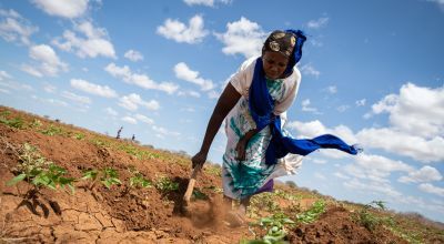 Woman in Kenya tending a plot of mung beans in home garden