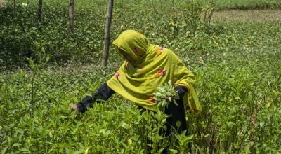 Rohingya refugee woman gardening in Bangladesh