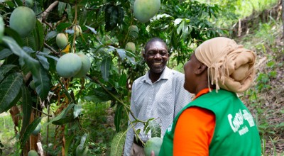 Province Olive, local Casec (community leader) talks to Mimose Jeune of Concern at his mango farm in the Centre department of Haiti. (Photo: Kieran McConville/Concern Worldwide)
