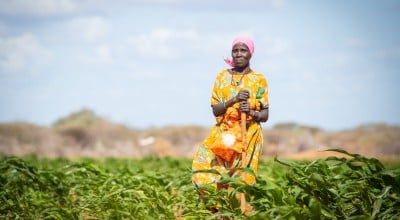 Mumina Mohamed on irrigated plot of maize next to her home in Subo village
