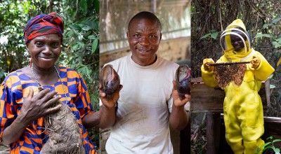 Yaiye Conteh, Jerry Gorr and David Gargar are all foraging for food security Photo: Kieran McConville/Concern Worldwide