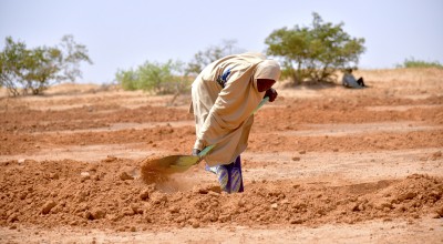 Cash for Work-Land restoration work in the village of Dan Tounou, Niger. (Photo: Concern Worldwide)