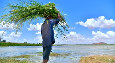 Rouafi pond landscaped by programme participants. Photo: Ali Abdoulaye/Concern Worldwide