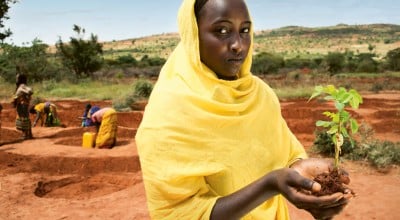 Ethiopia, 2012. Photo credit: Mikkel Østergaard/Panos Pictures.