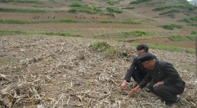 Mr. Jong is describing how conservation agriculture could improve livelihoods and food security of farmers in this area, Kangwon Province, DPRK. Photo: Catherine Dunnion.