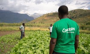 Concern staff member in field with two farmers