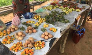 Food available for sale at a local market in Liberia, 2019. Photo: Catherine Shepperdley.