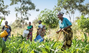 Global Hunger Index 2024 cover