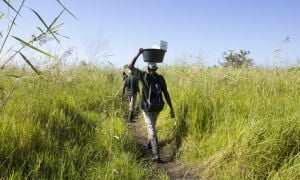 The Concern team walks from the riverbank to the remote community of Bilinguinho, which is only accessible to Chinde by boat. Photo: Crystal Wells / Concern Worldwide. 