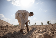 Maula, a farmer in Sindh