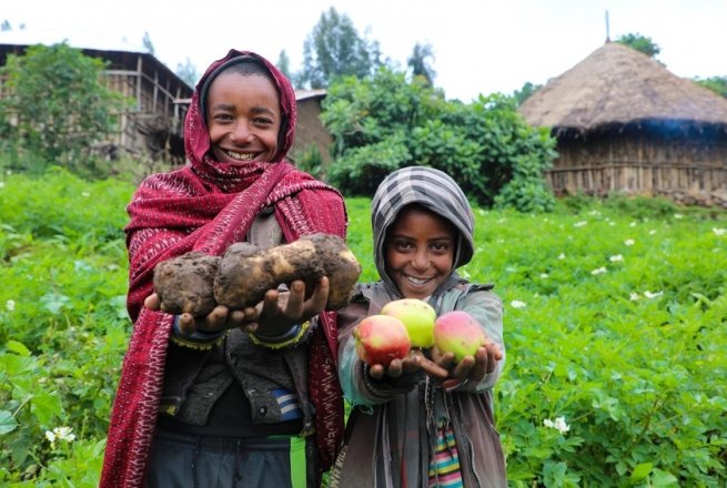 Mehamed's family grow potatoes, as well as apples. Photo: Jennifer Nolan / Concern Worldwide.