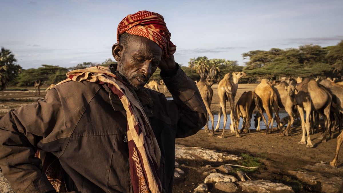 Horn of Africa drought crisis worsens as millions face extreme hunger ...