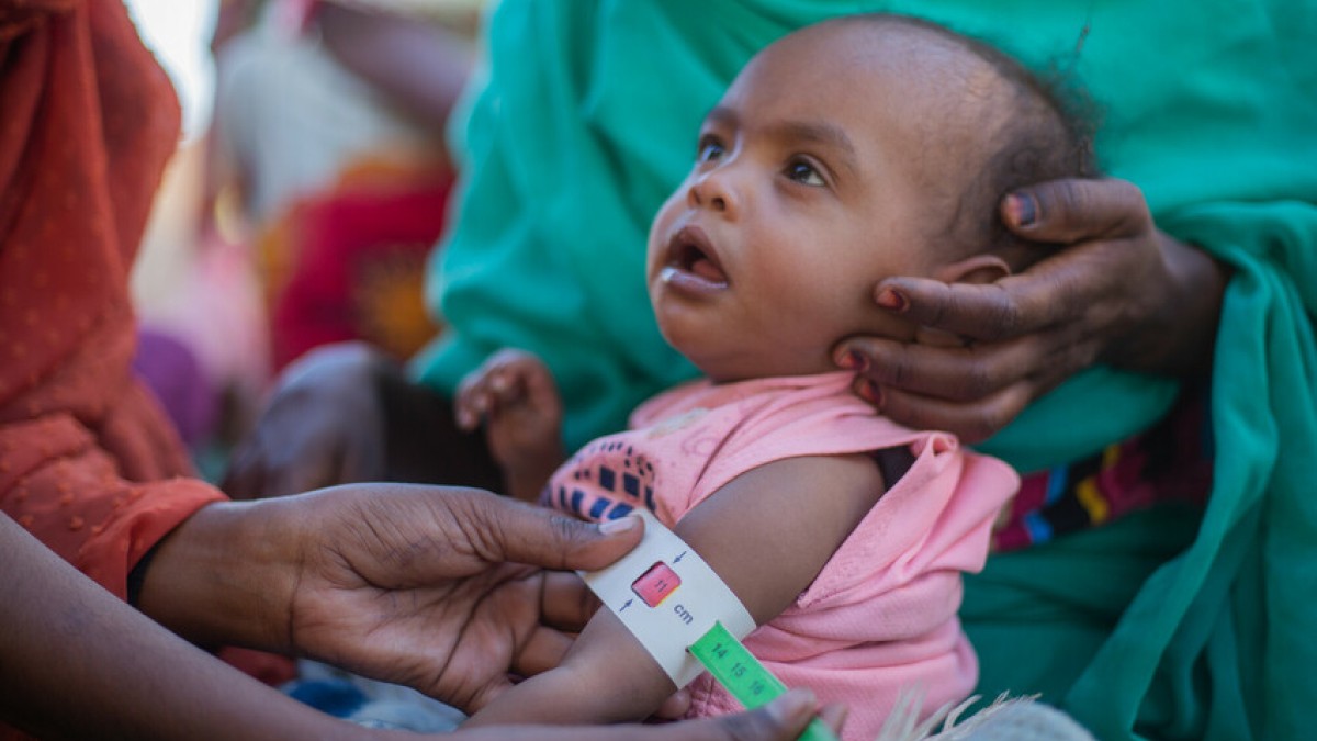 Urgent international action needed to avert impending famine in Sudan ...