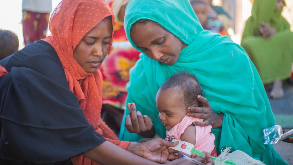 Humanitarian corridors urgently needed to prevent impending famine in ...