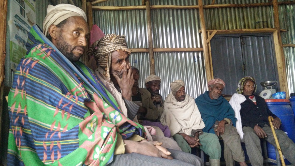 Drought brings food crisis to Ethiopia | Concern Worldwide