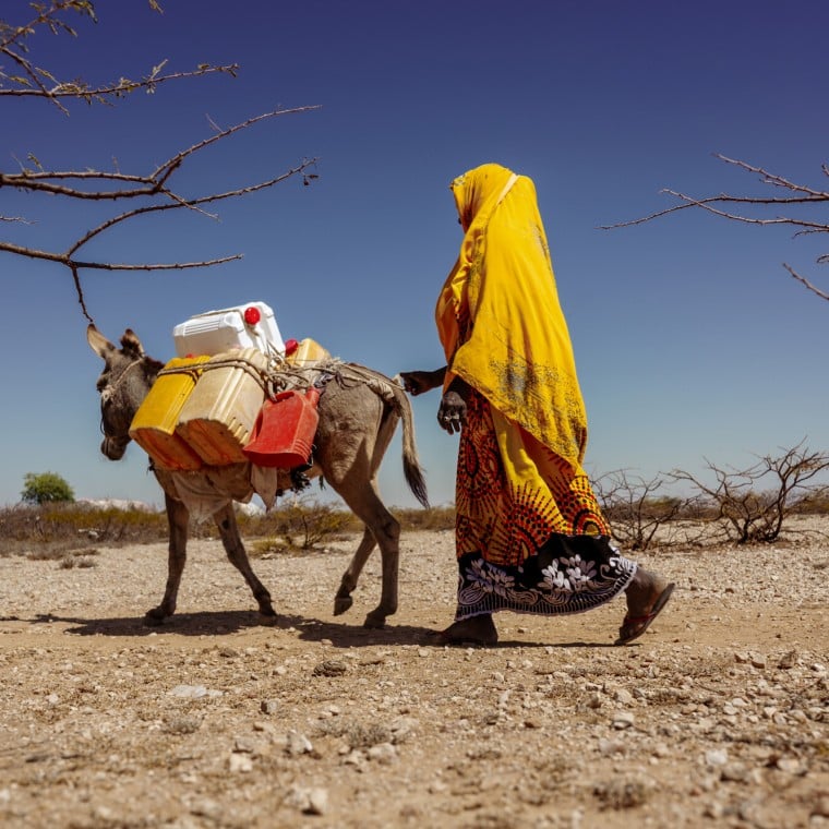 Mako Nur Huseein with her donkey in Somaliland